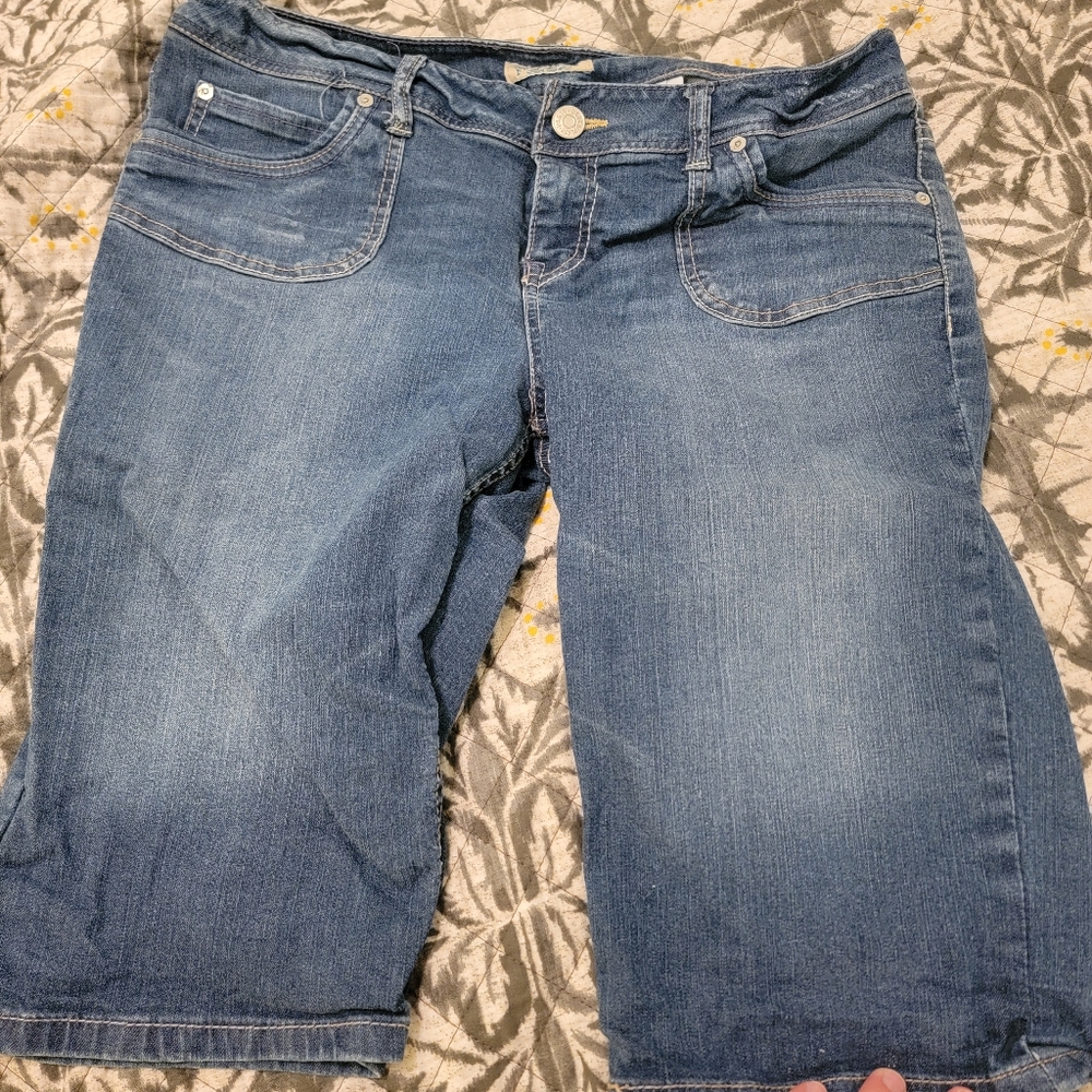 Paris Blue Bermuda Shorts